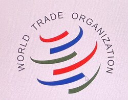 올 3분기 세계무역기구(WTO) 회원국이 통보한 기술규제는 2,951건에 달했다.